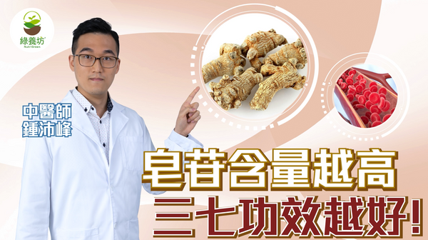 三七皂苷含量越高 功效越好！